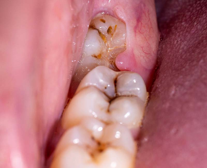 mr. and mrs. dentist